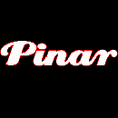 Logo Pinar