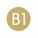 Logo B1 Rooftop